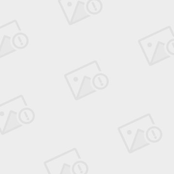 开云-申花曹赟定最新动向